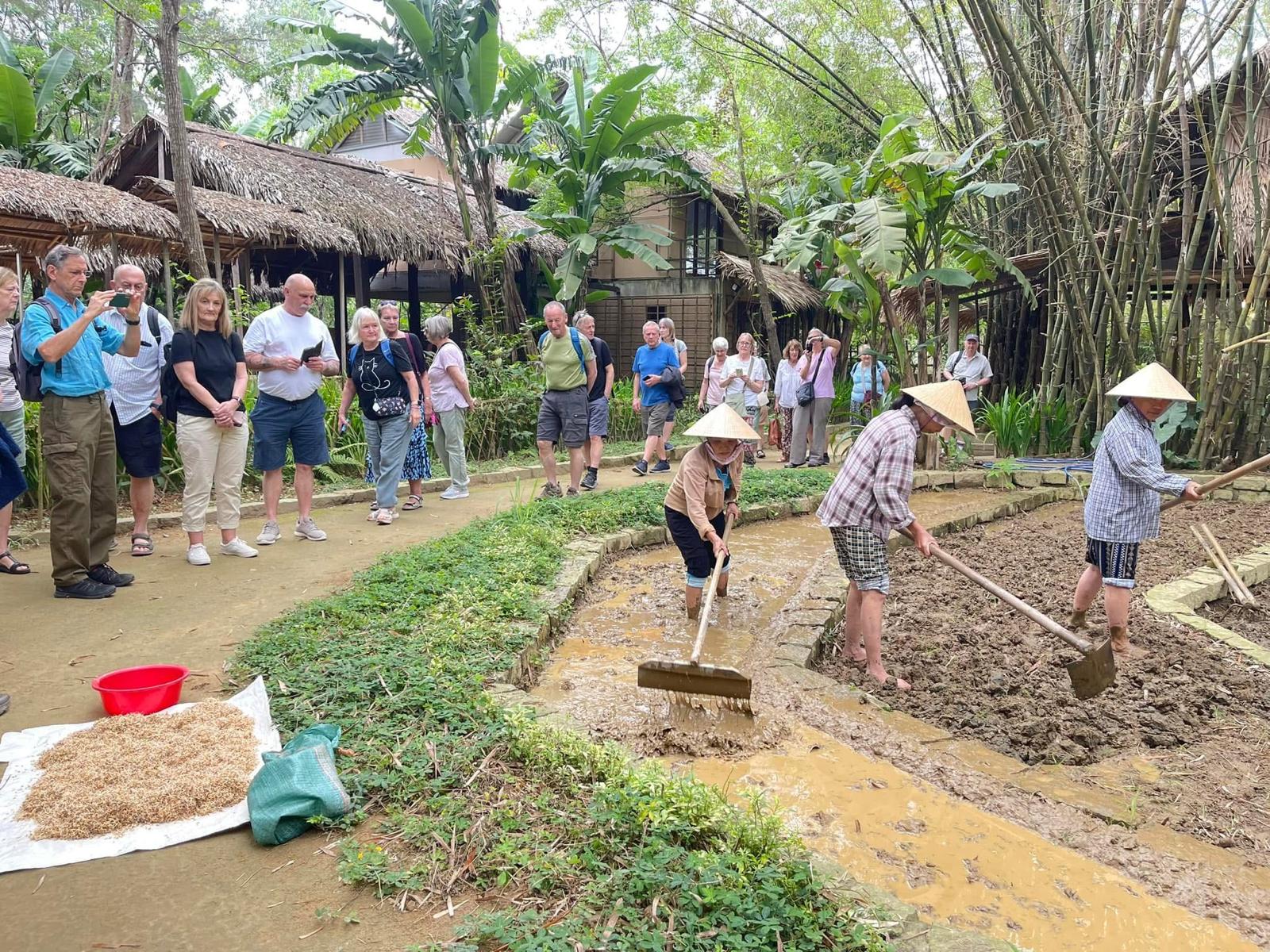 Farmers preparing rice paddies for guests
