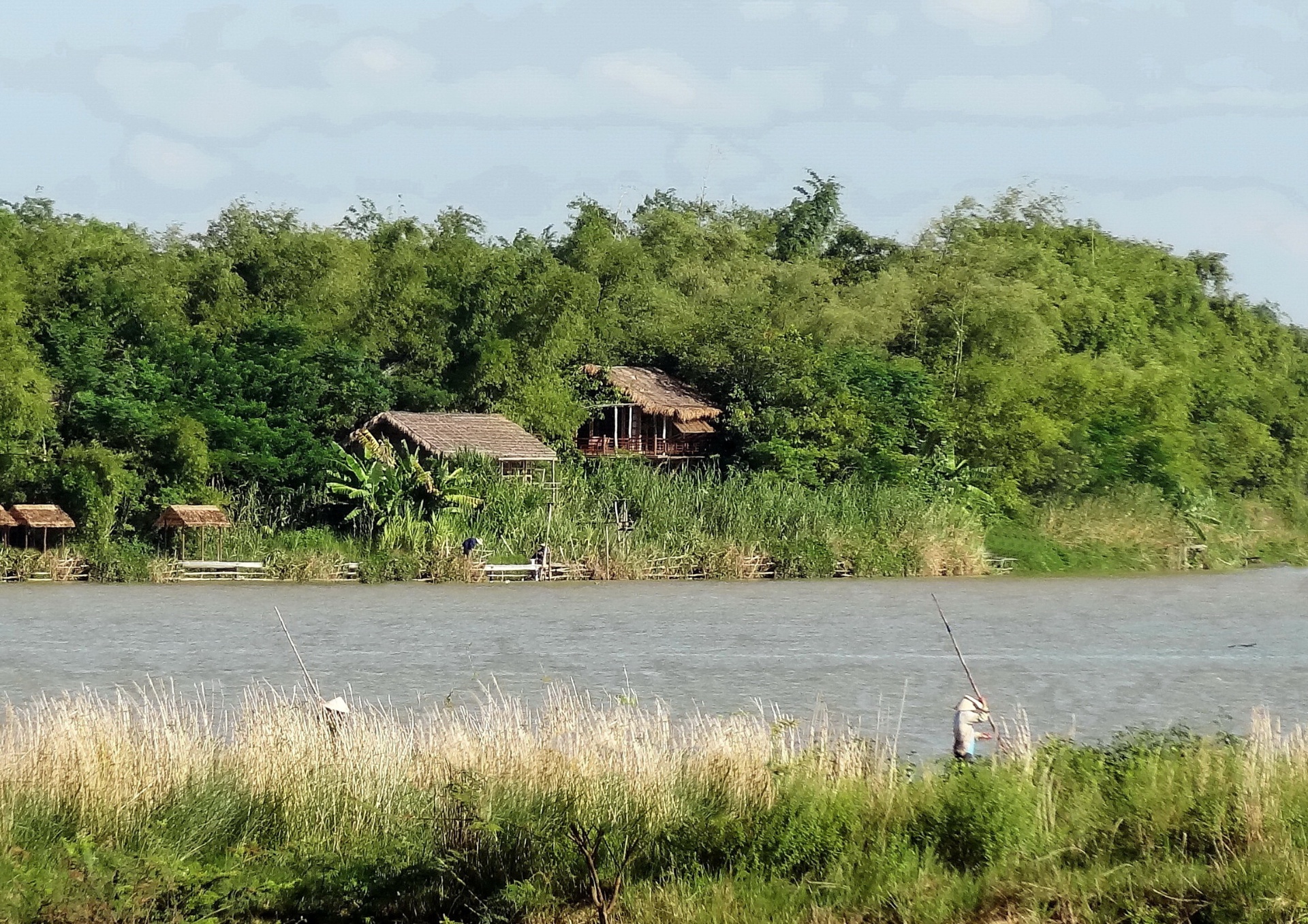 Regenerated riverbank with bamboo groves and thatched bungalows across the Thu Bồn river