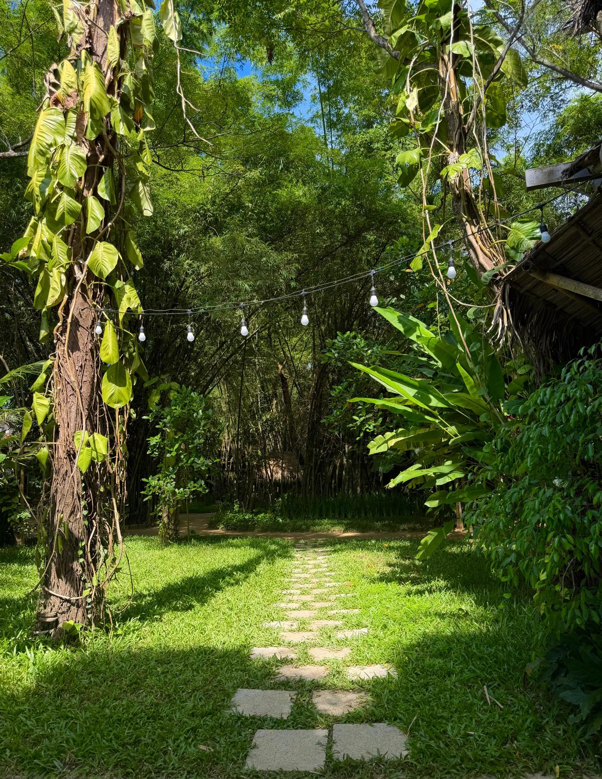 Stepping-stone garden path with string lights