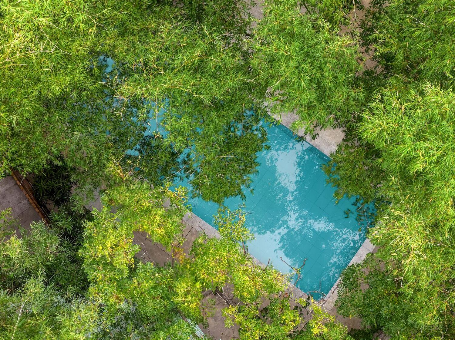 The swimming pool seen from directly above, ringed by trees