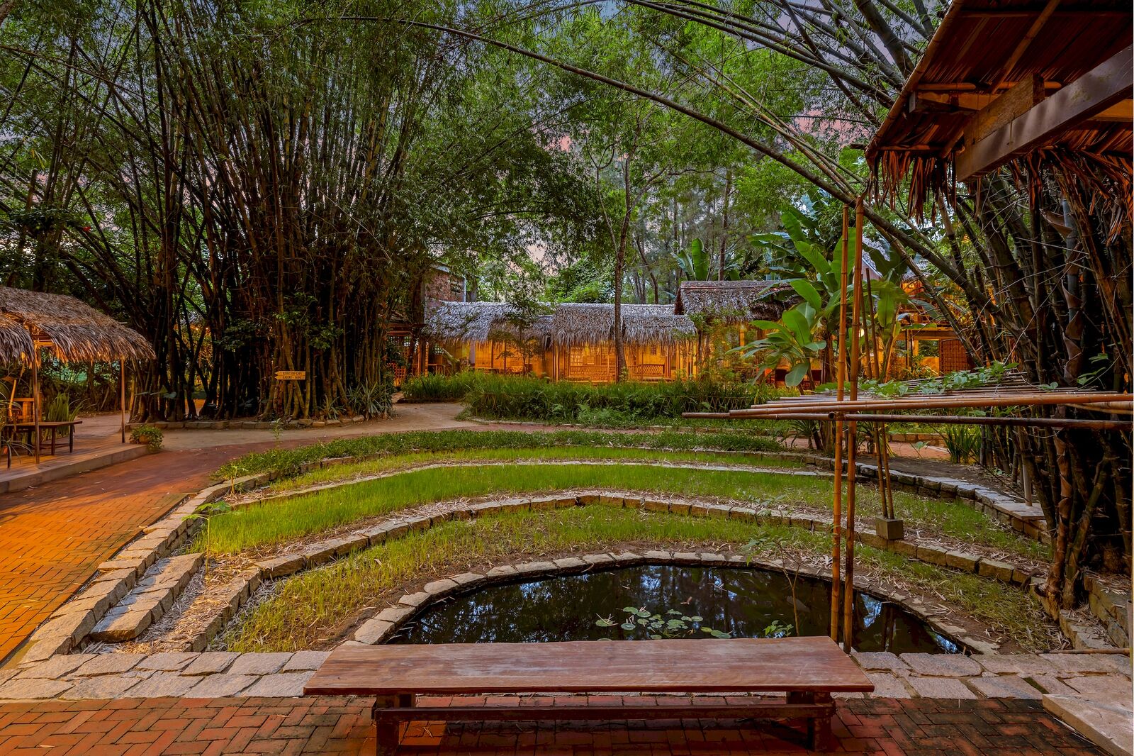 The courtyard rice paddy at dusk